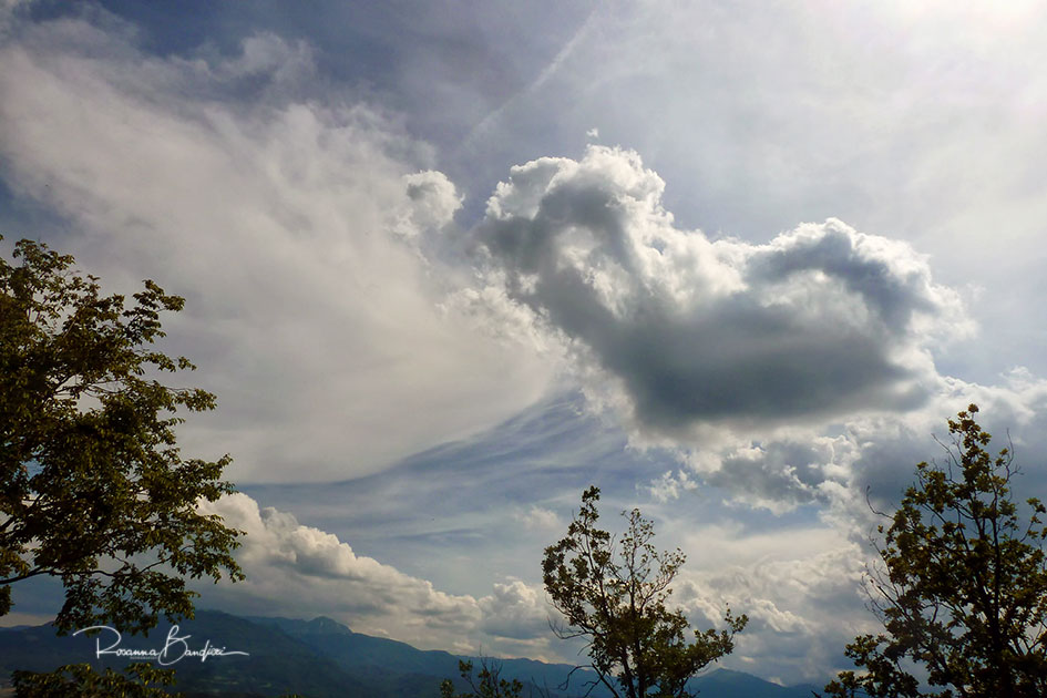 oggi il cielo mi ama