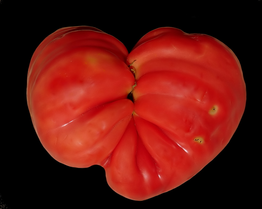 ***Cuore rossonero***