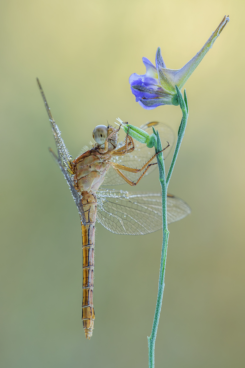 Sotto il lampione...