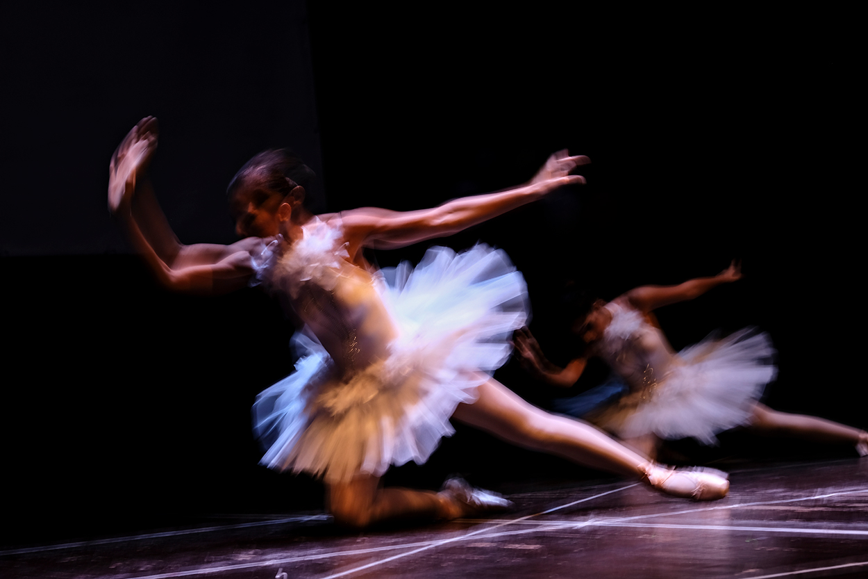 L'eleganza delle libellule