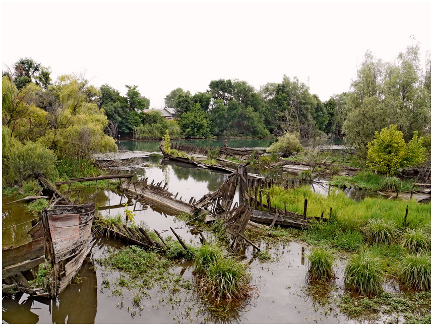 cimitero degli "elefanti"