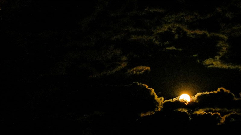 moon light 2 :)