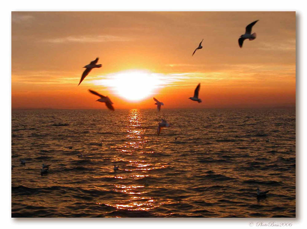 Tramonto a Lazise #2