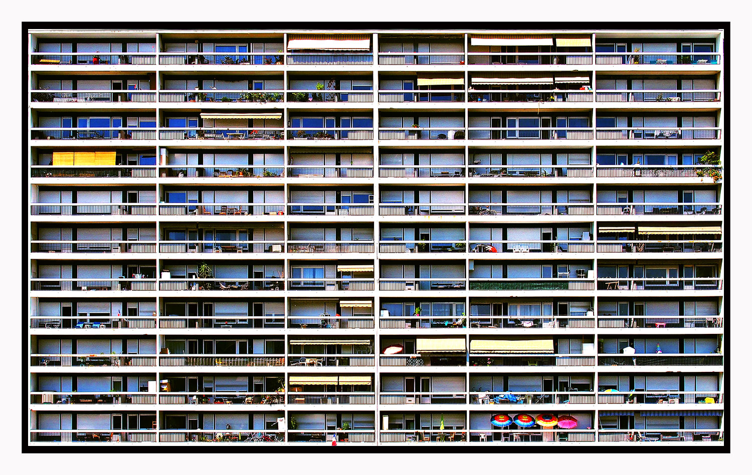 Immagine del free contest