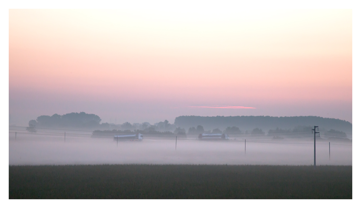il risveglio dei bisonti...
