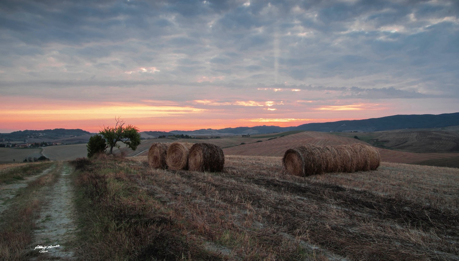 Strada di campagna
