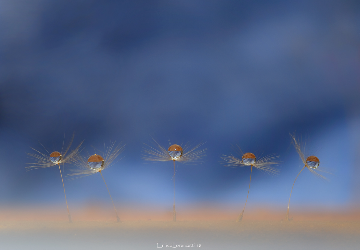 ballerine pronte per il ballo