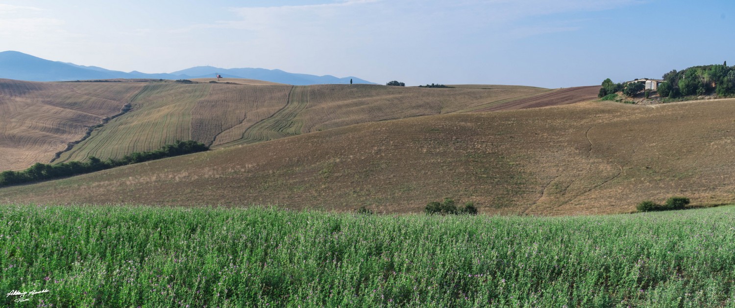 Colline Toscane