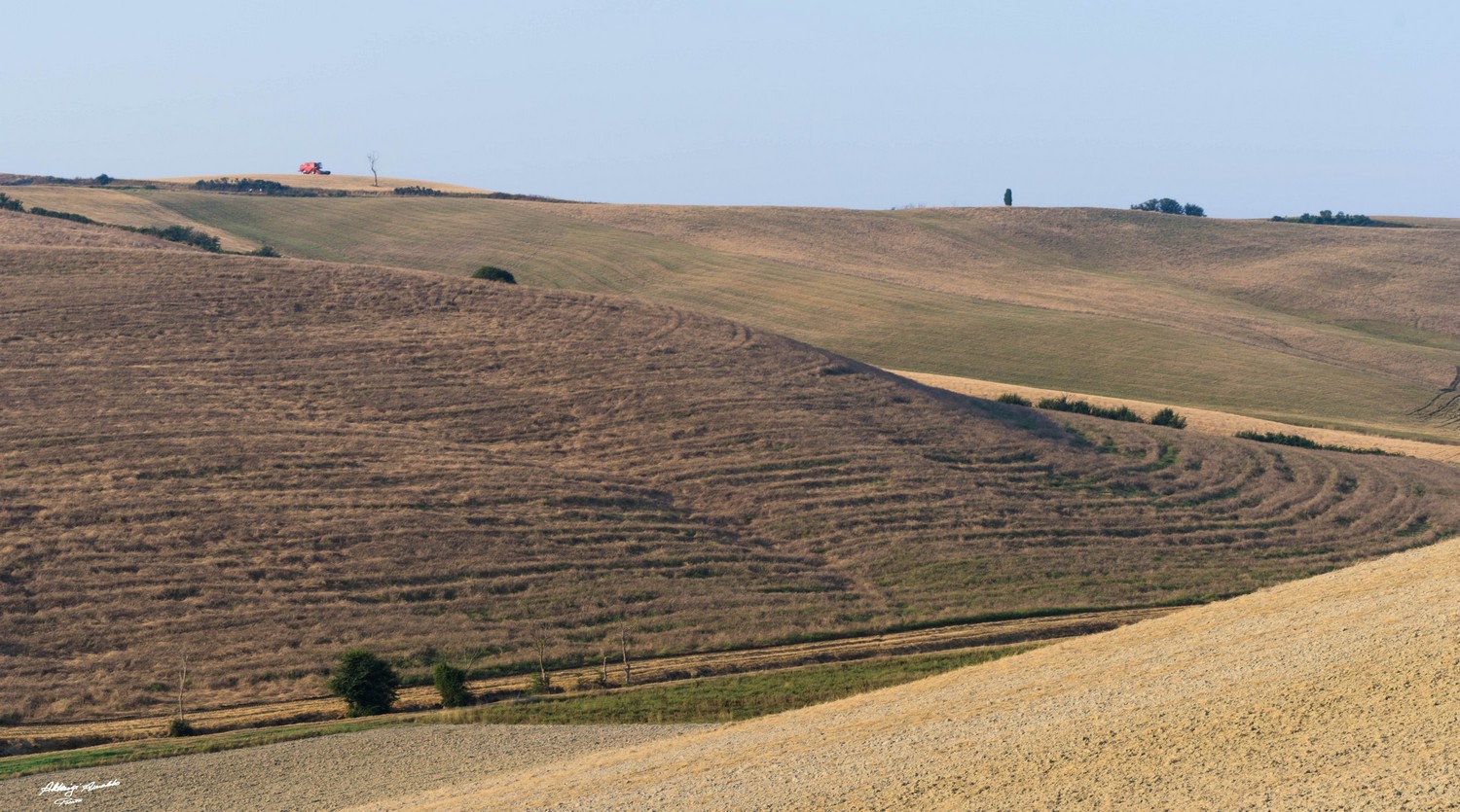 Colline Toscane