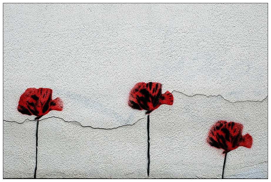Tre papaveri rossi...