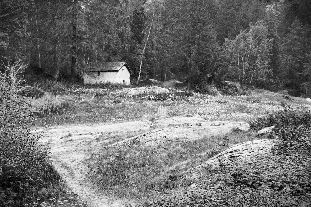 Valle d'Aosta. Parco naturale del Gran Paradiso.