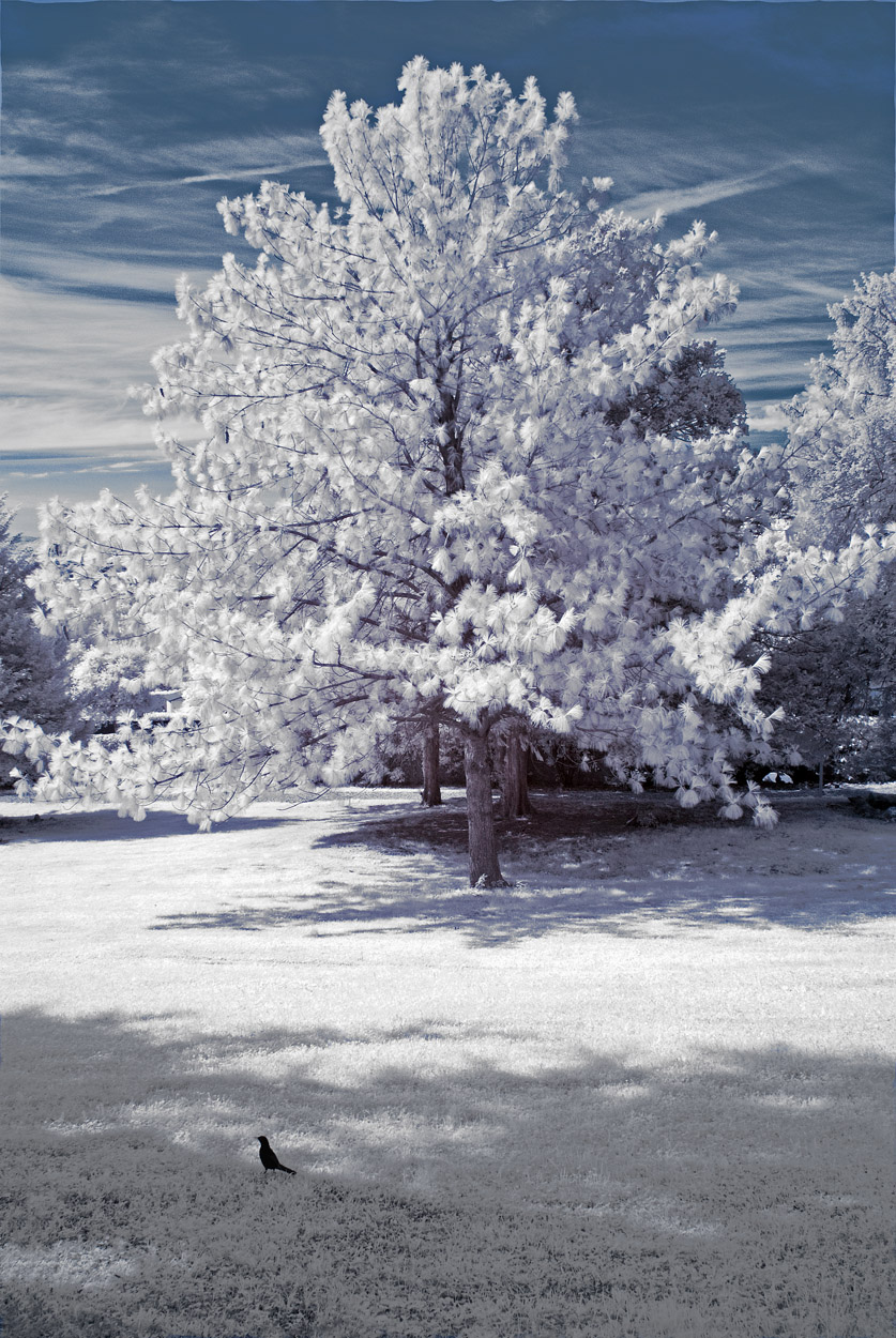 IR_0322