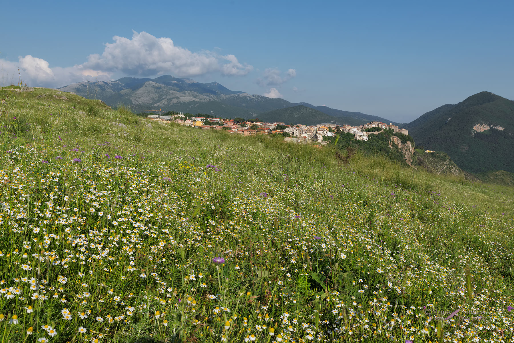 E li in fondo il mio paesello