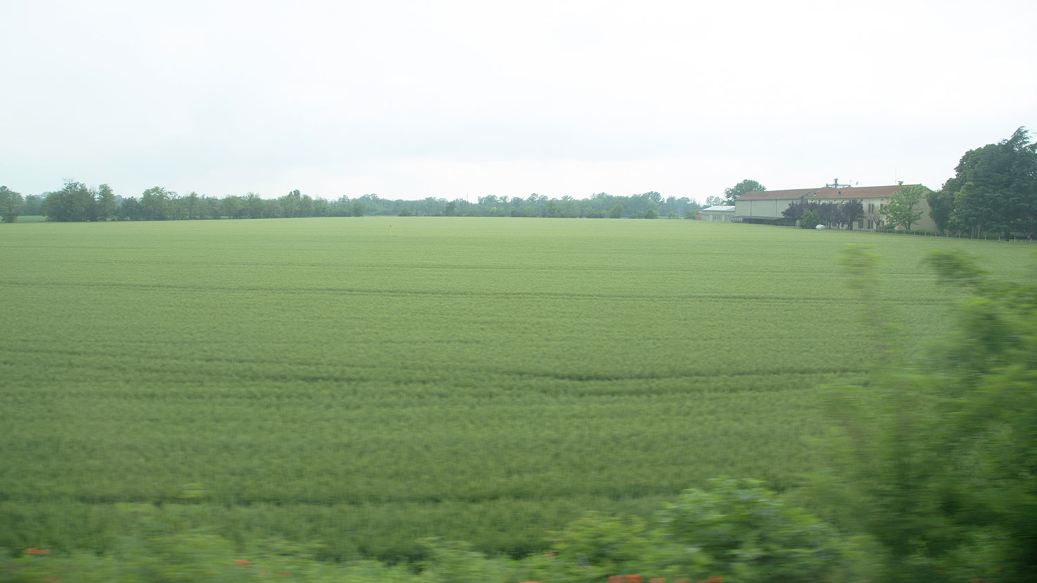 In ritorno da Varazze -03