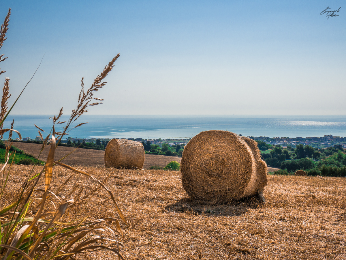 Colline abruzzesi