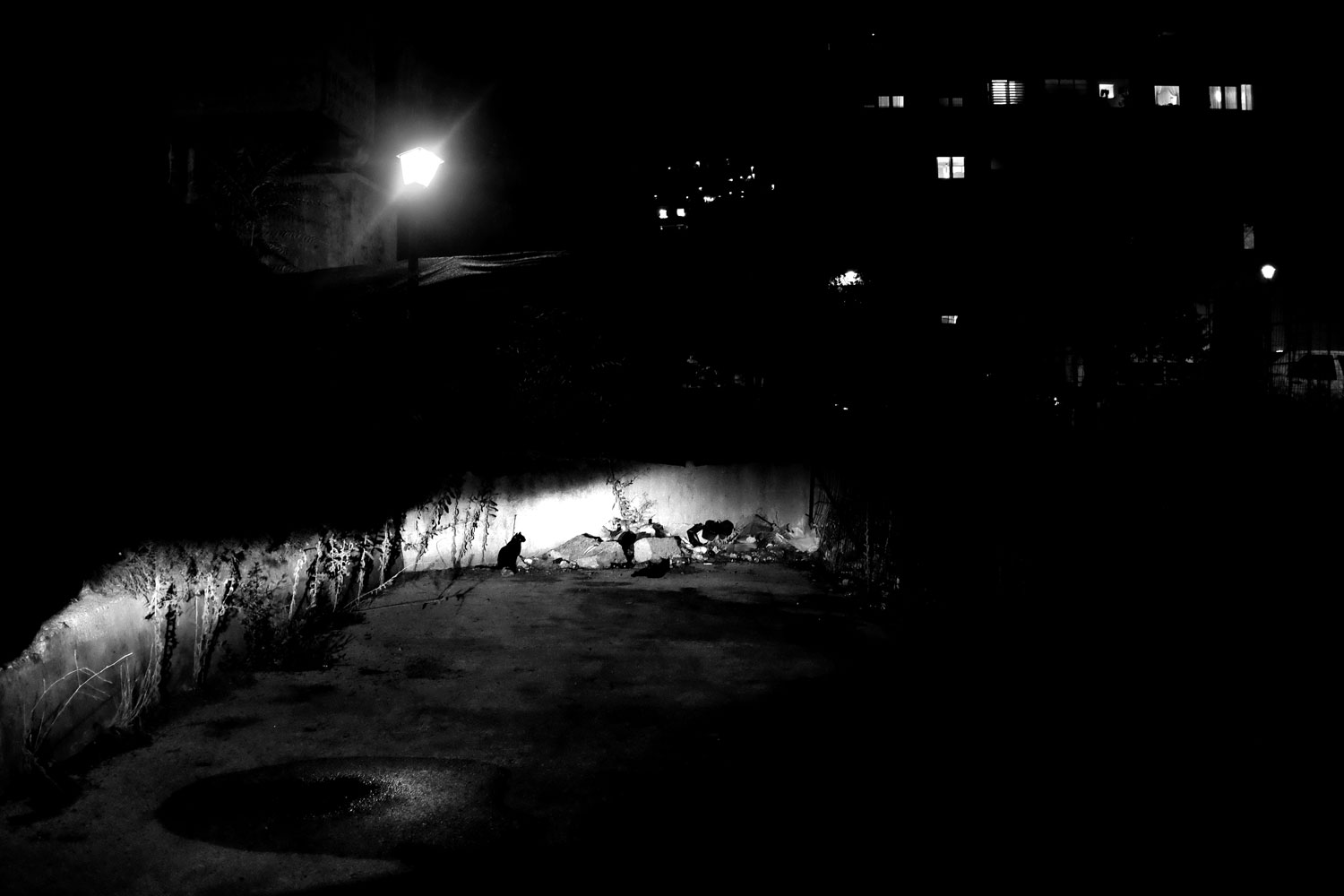 una notte a Sarajevo .....