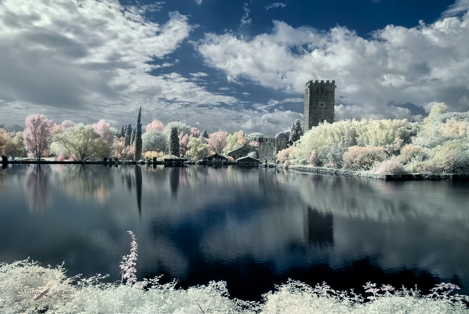 Ninfa IR vision_DSC4940
