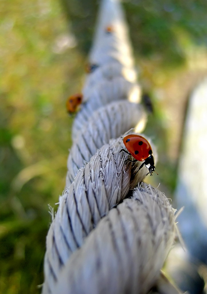 La fortuna � appesa ad un filo