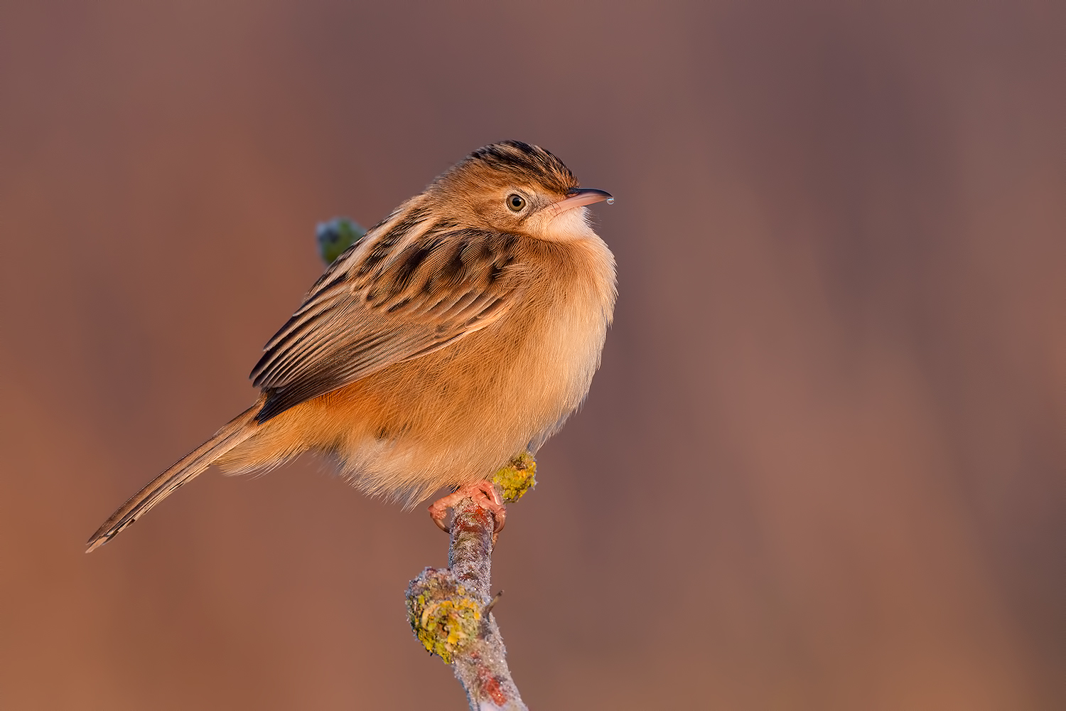 alba, luci , gelo e colori...