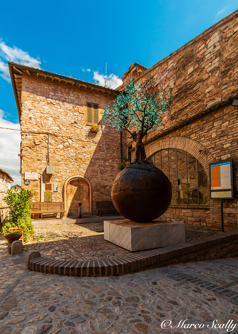 L'albero della vita, Spello
