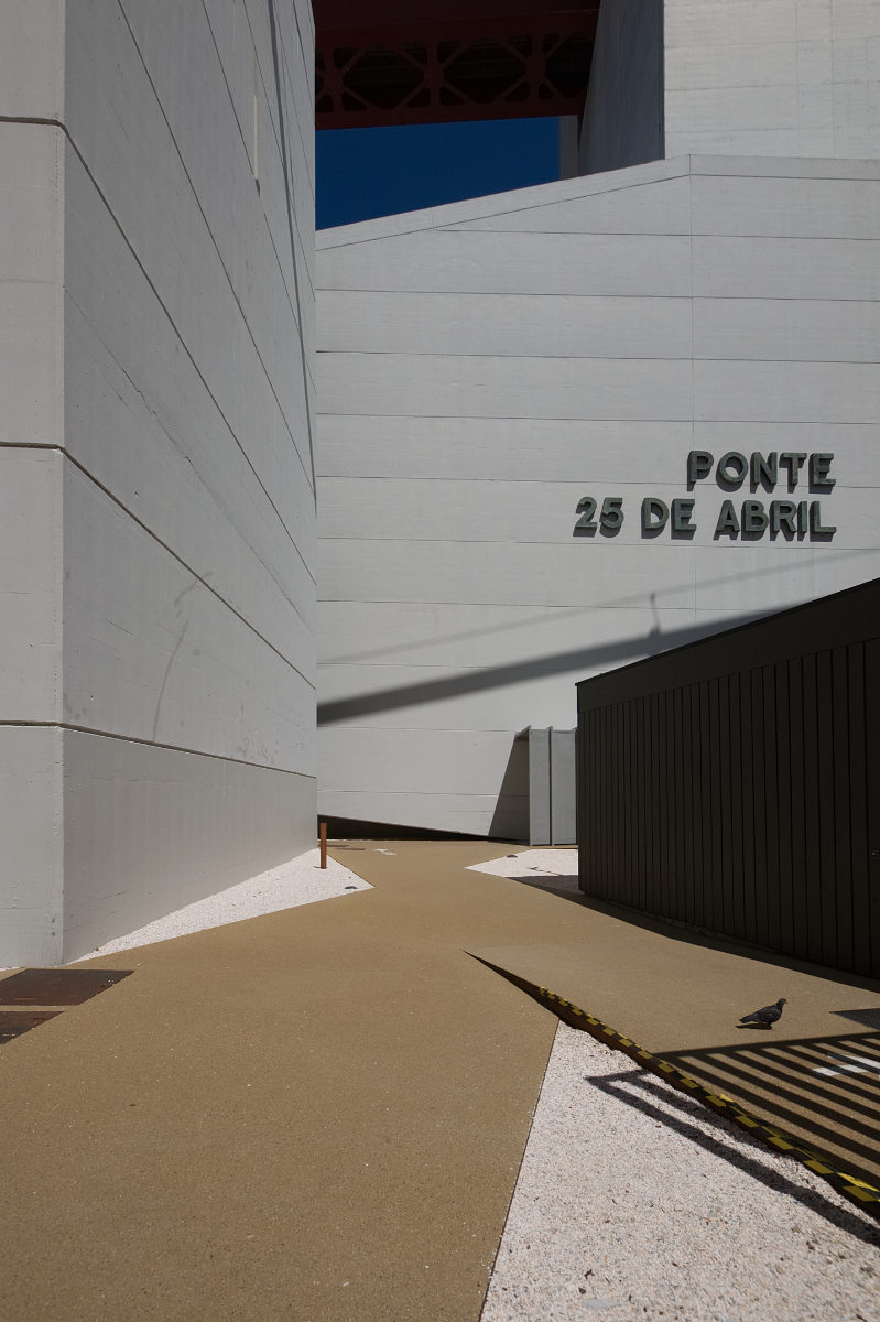 a proposito di piccioni ...