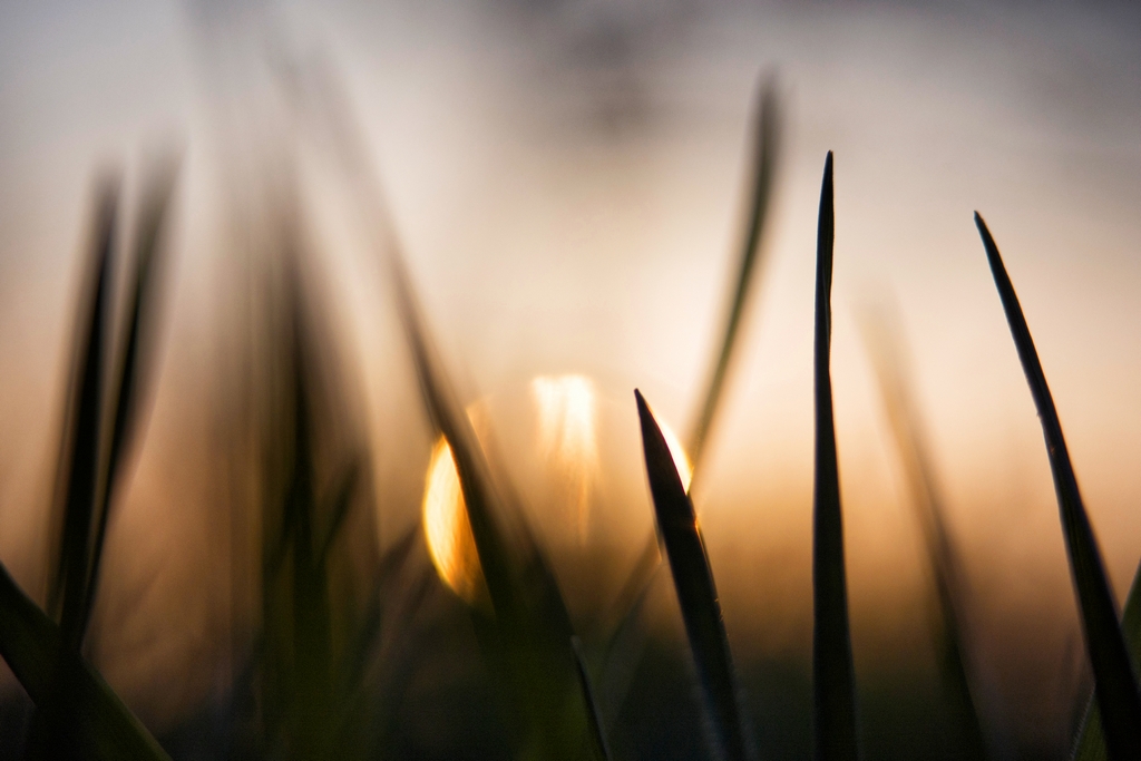 Giocando con il sole