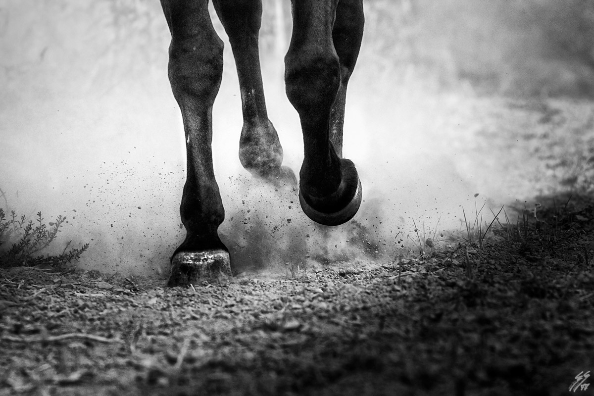 ..walking in progress..