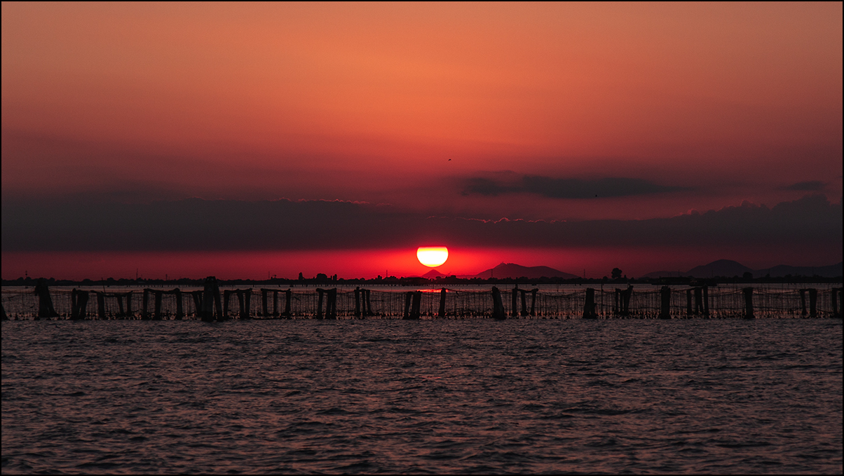 Suggestioni in laguna.