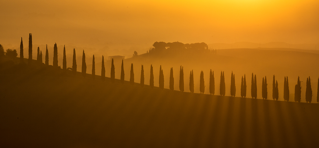 tutti in fila all'alba