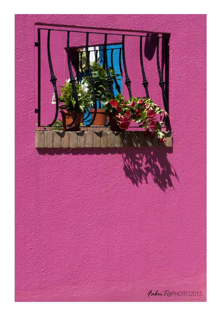 window in the window