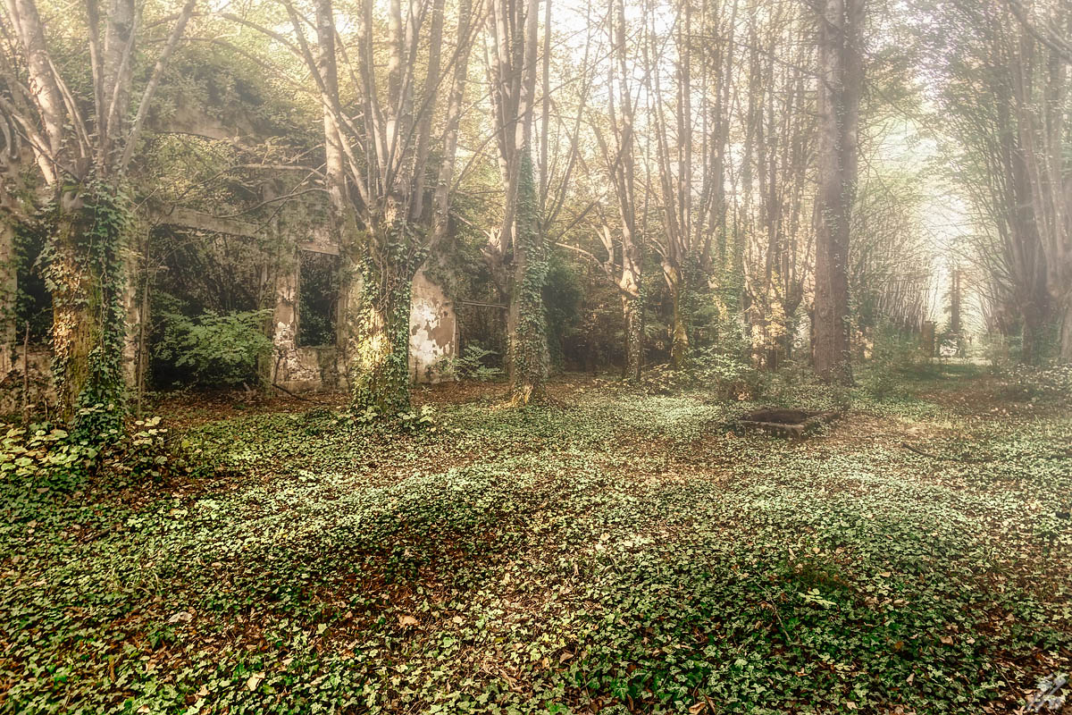 ..un mondo dimenticato..