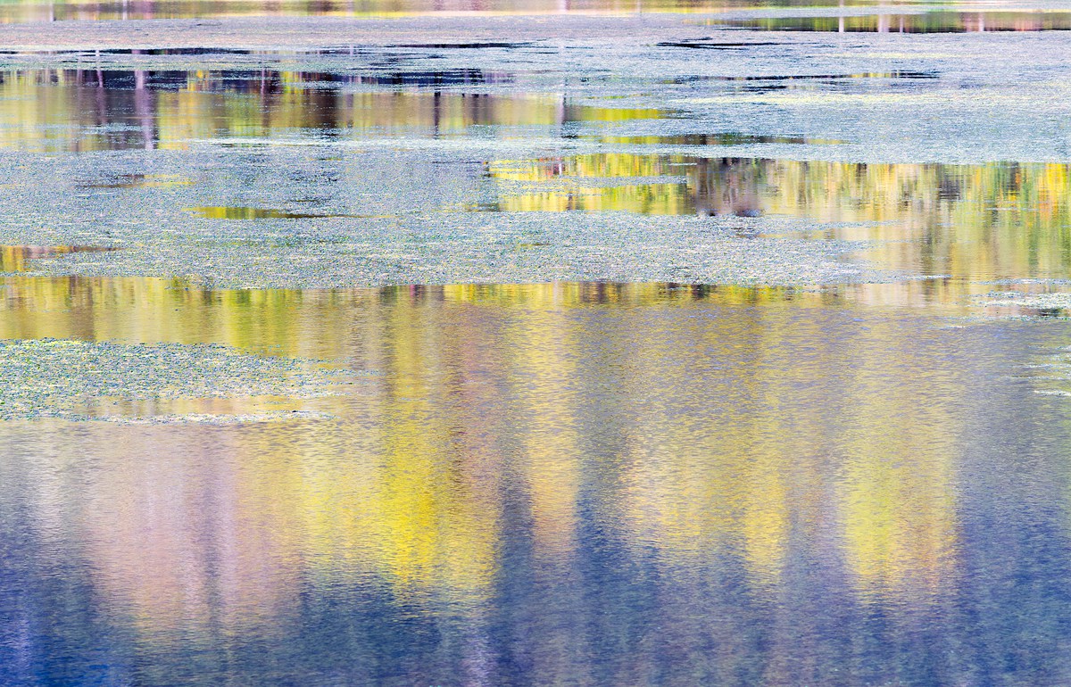 Impressioni Lacustri