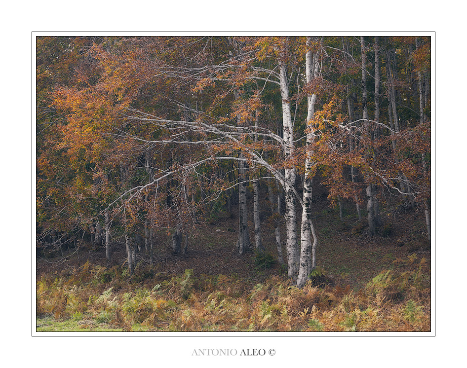 The light she brings