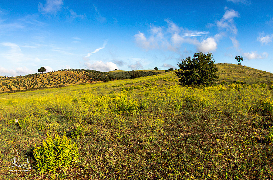 Colline in ottobre