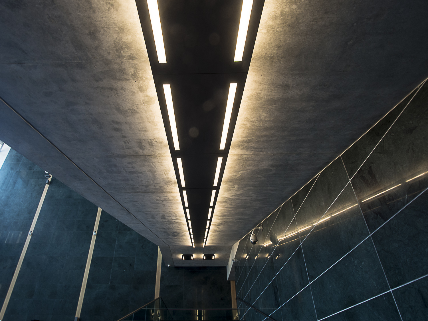 Linee a caaa....so (capitolo 1)