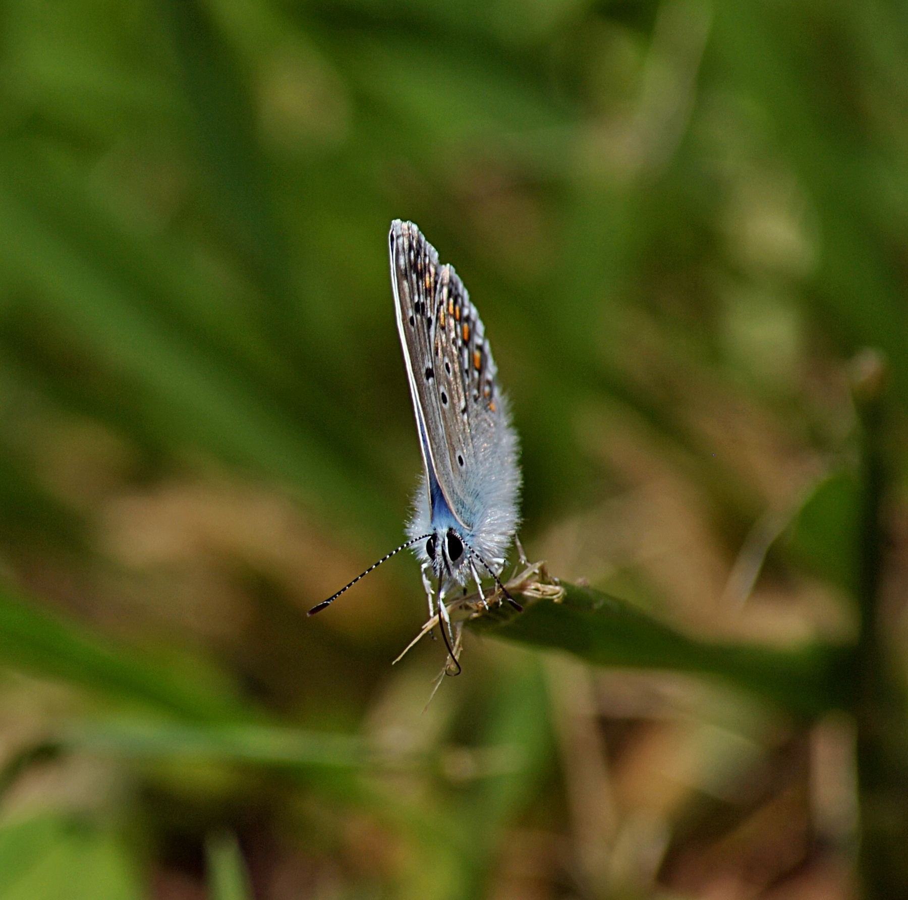 Guardarsi negli occhi