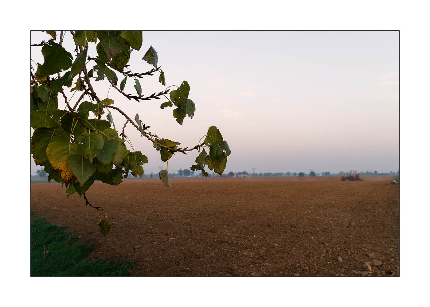 Monotonie padane. Autunno.