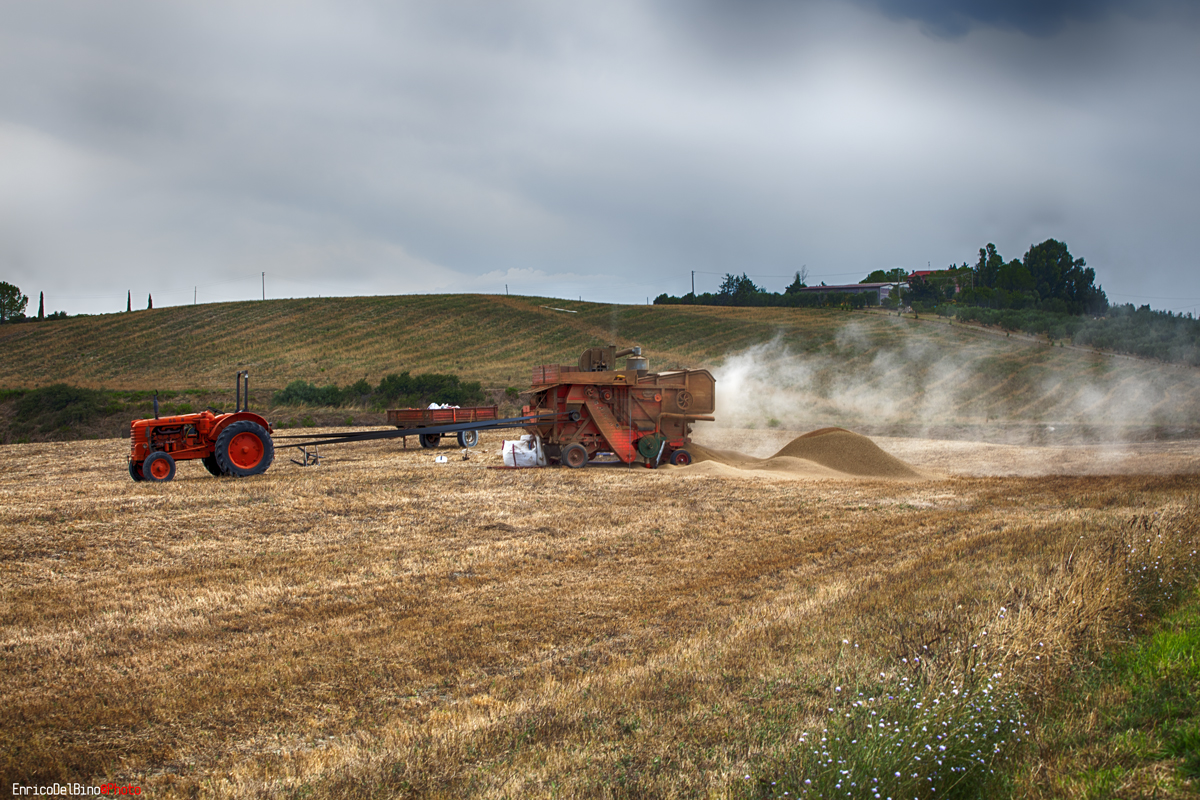 Vecchi Mestieri di campagna