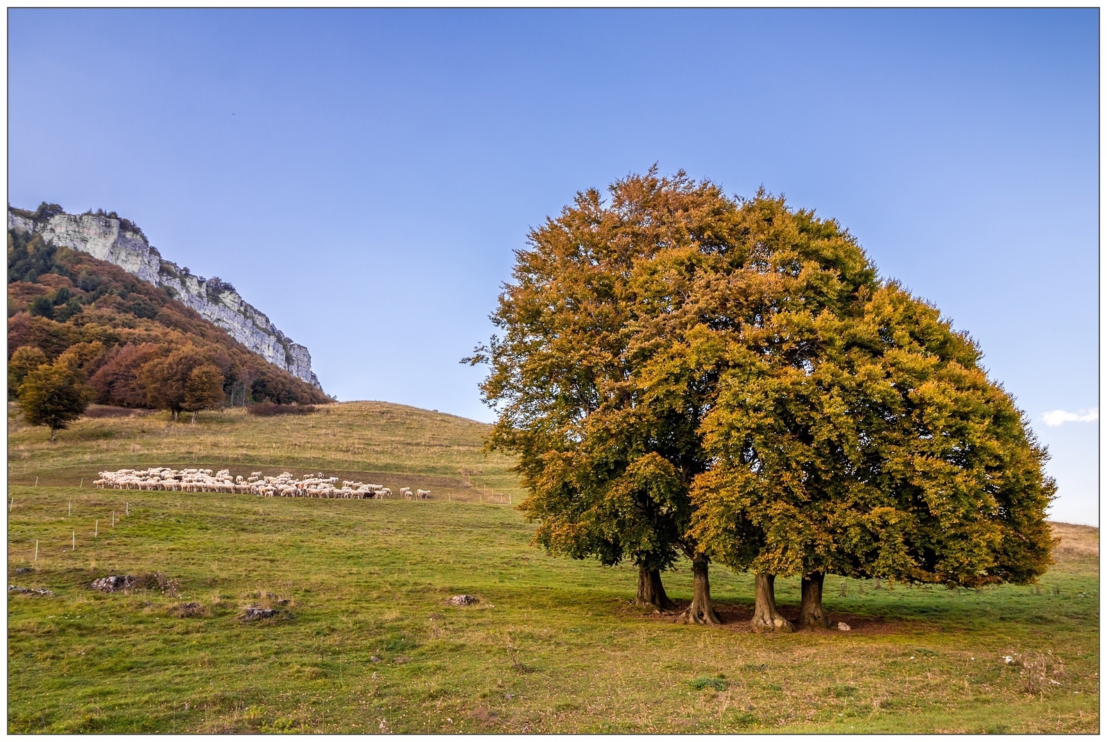 Autunno sugli alti pascoli.