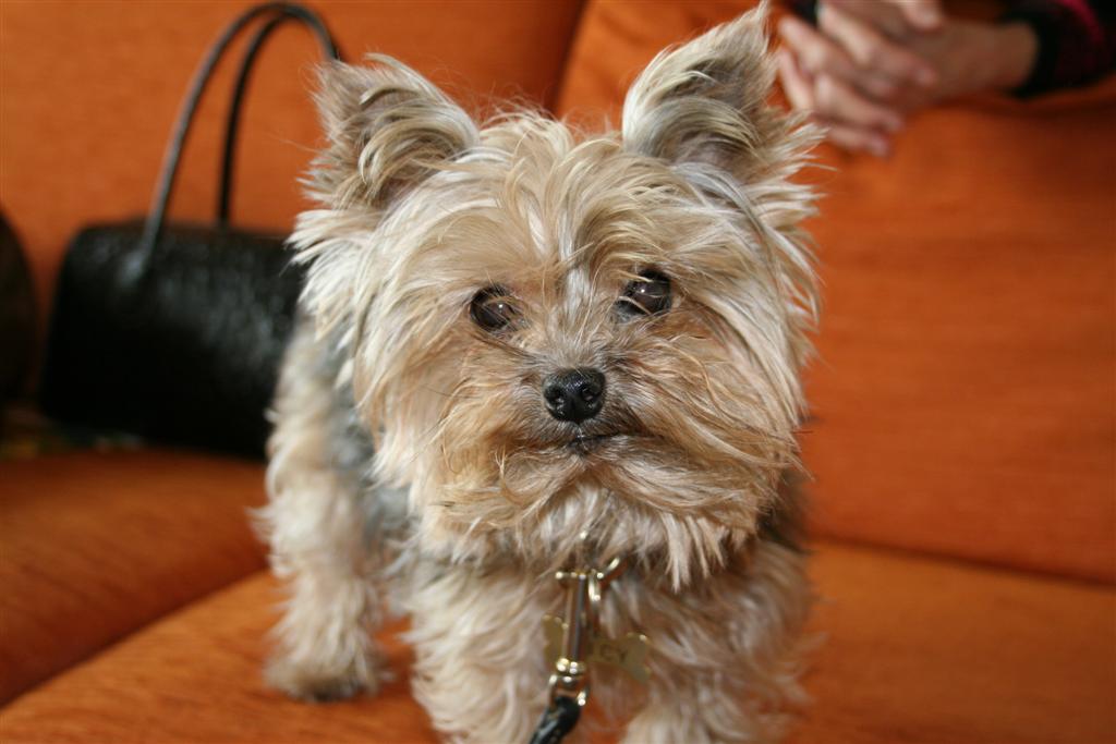 prime esperienze con la EOS 350D