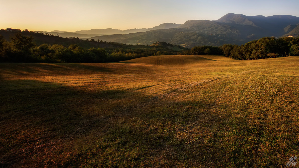 ..the morning's gold..