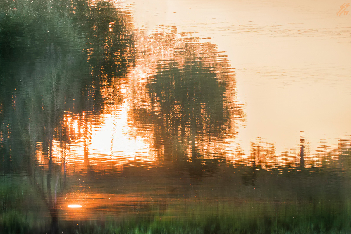 ..nature painting on water ..