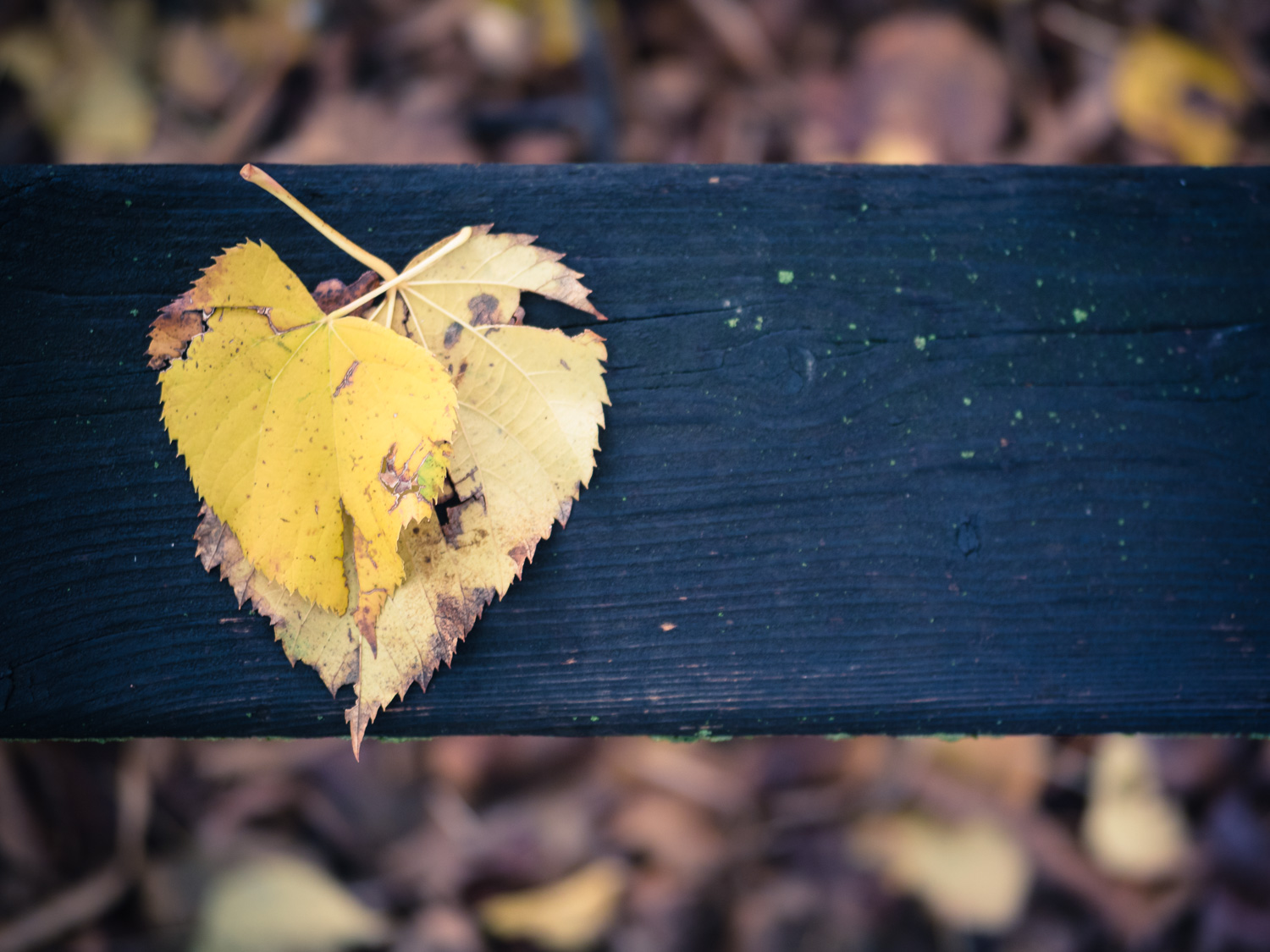 Noi due per l'eternit�