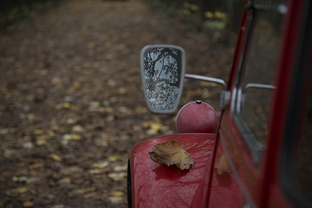 Particolari autunnali