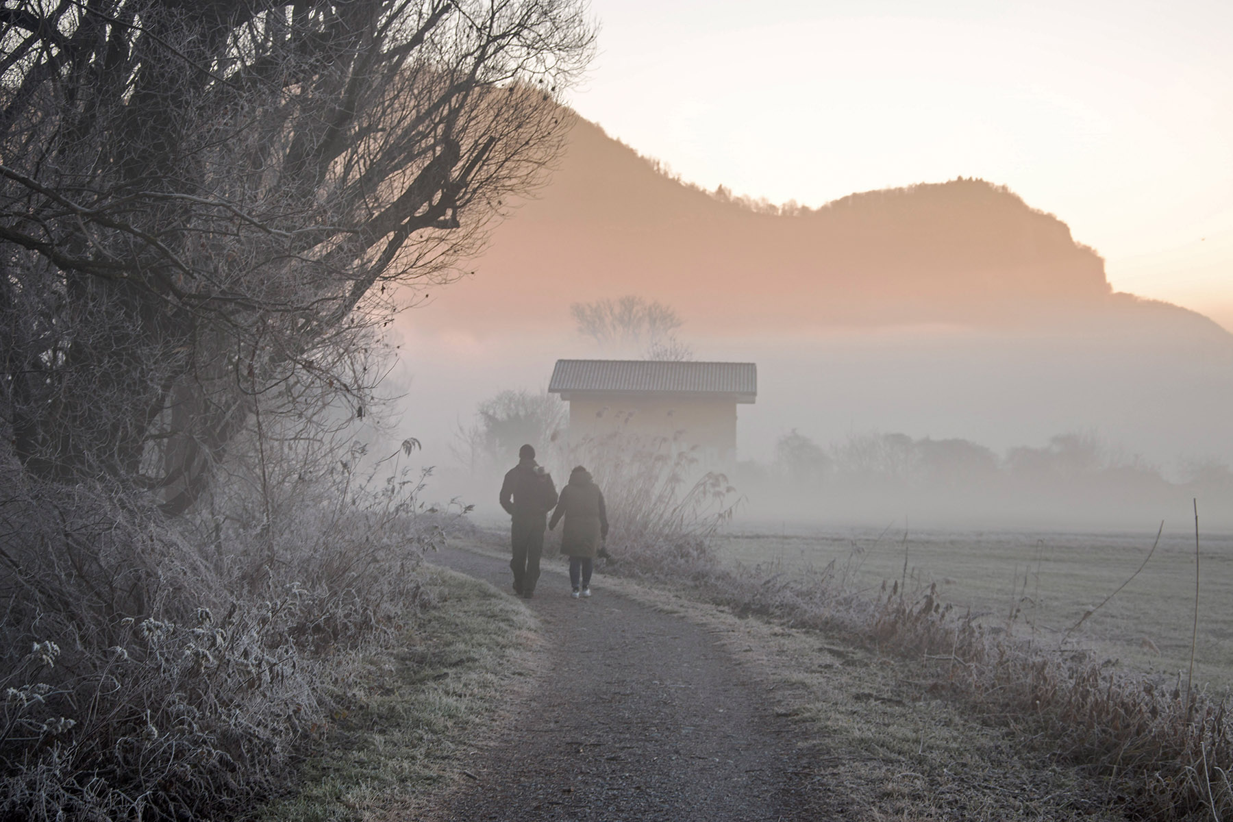 una fredda mattina d'inverno