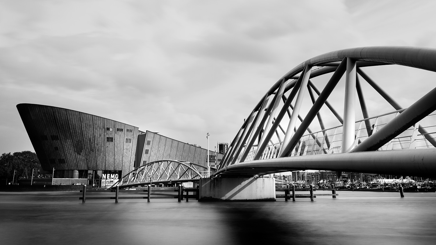 Mr. J.J. van der Veldebrug & NEMO