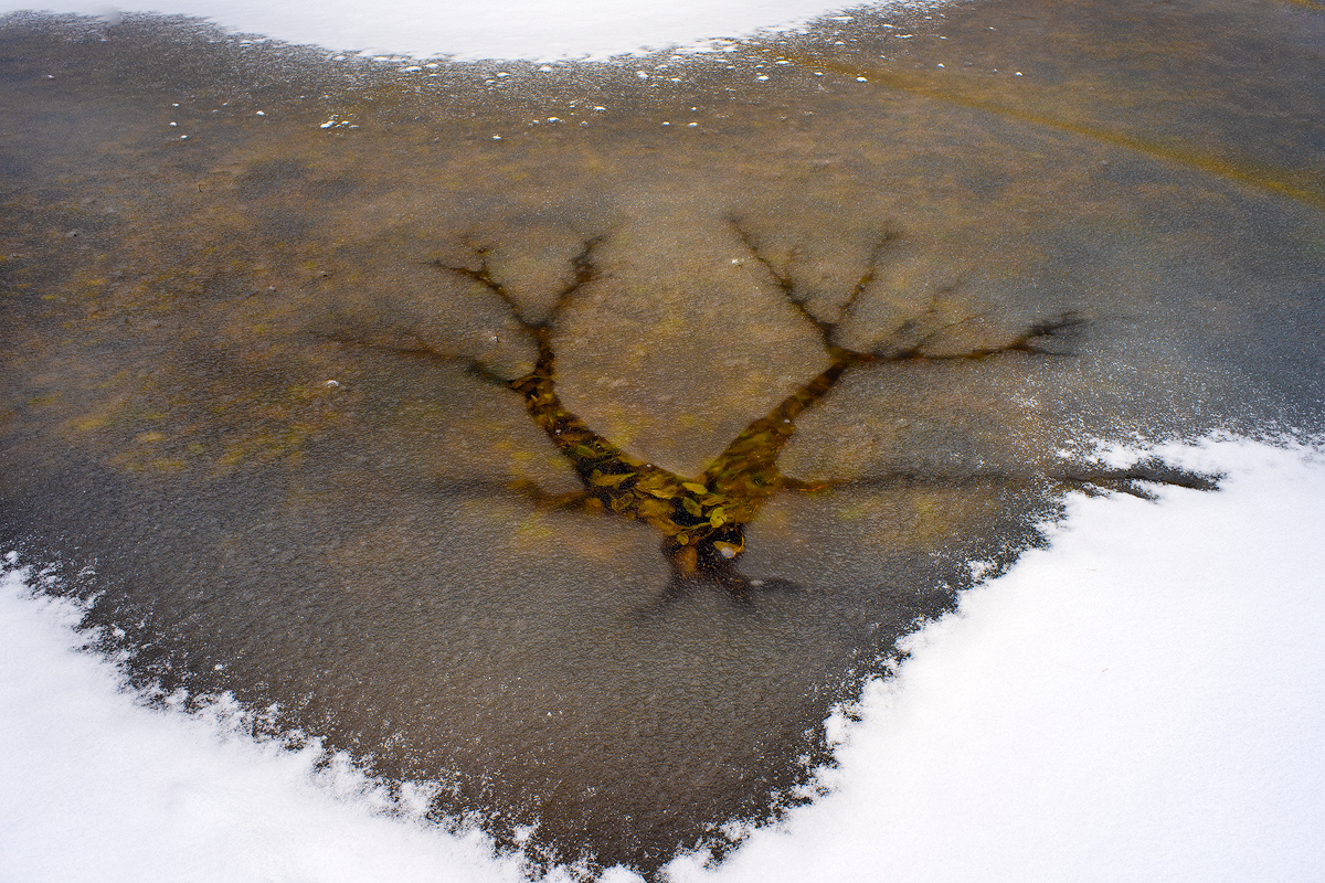 Quando l'Autunno incontra l'Inverno