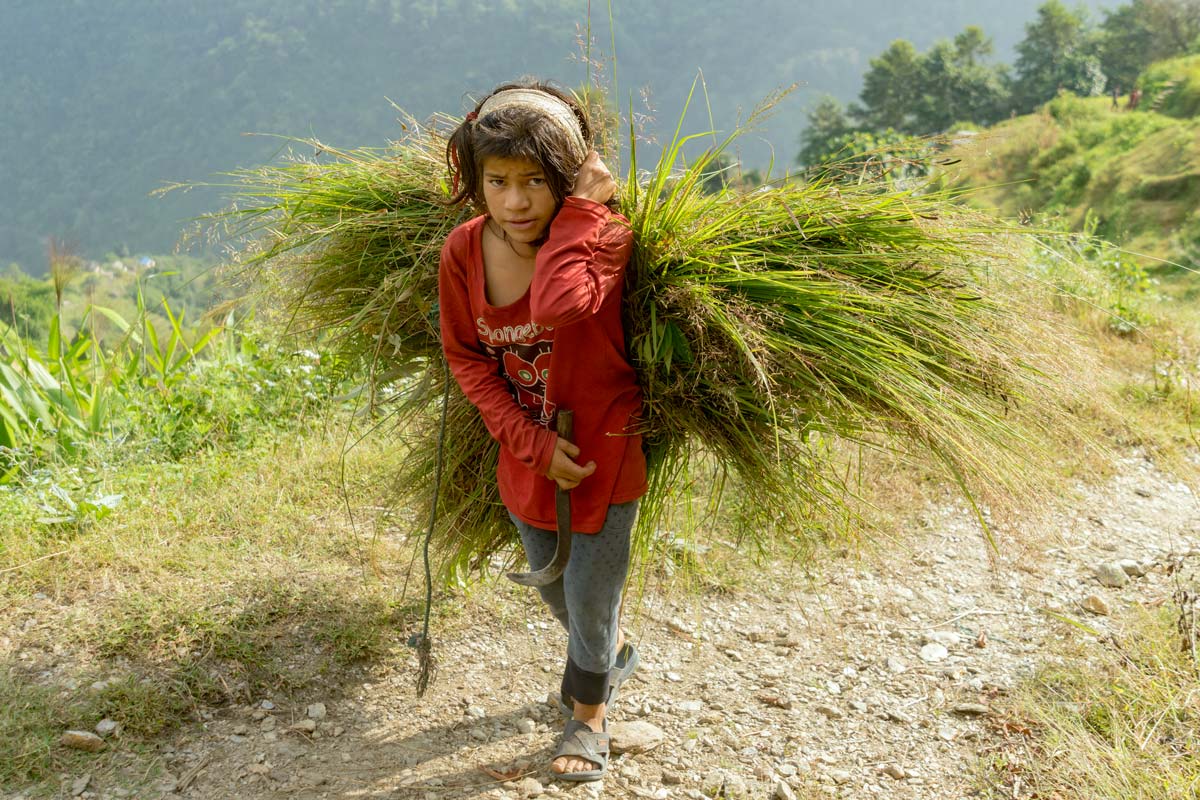 Ragazzo di campagna.