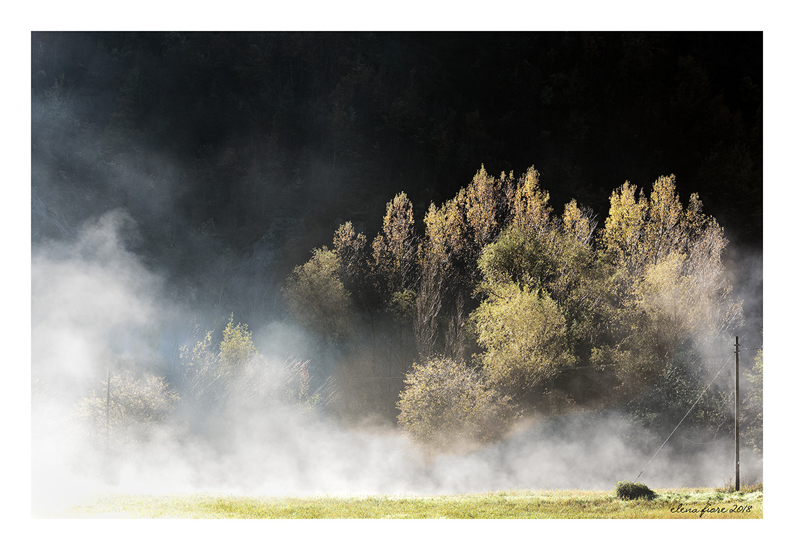 brume autunnali