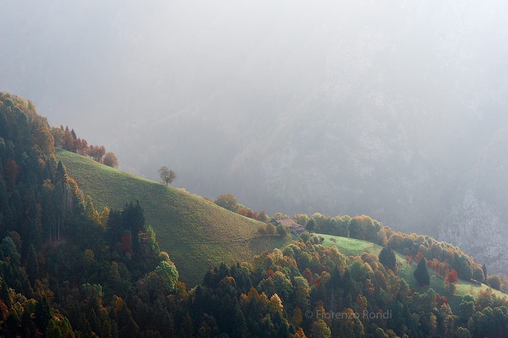 Foschia a Colle Palazzo